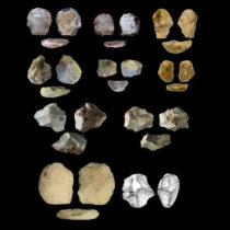 A study shows technological diversification in Europe