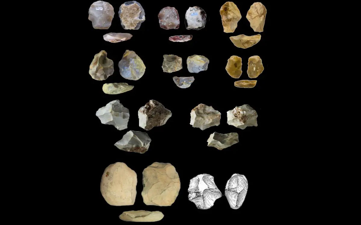 A study shows technological diversification in Europe