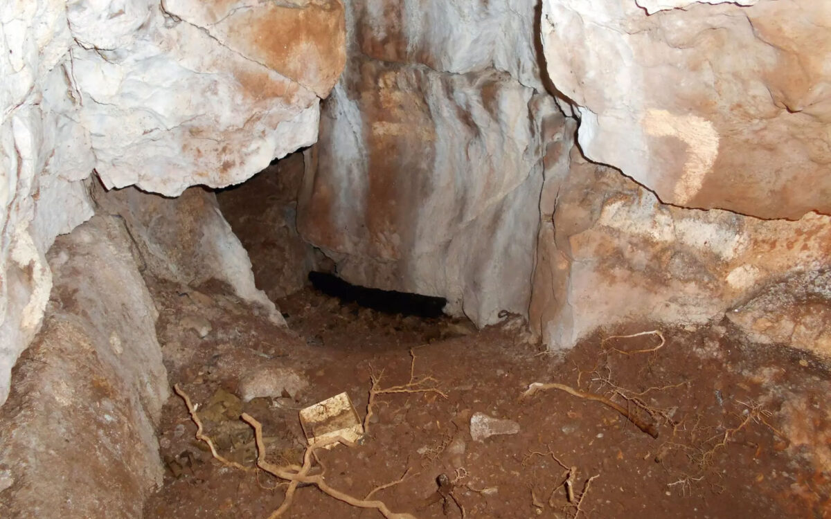 Northern Britain’s oldest human remains are of a girl