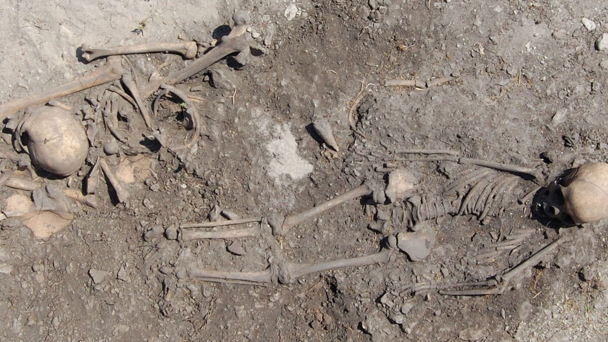 In the fourth grave, there was a girl and a young woman. The analysis showed that they were third-degree relatives. Photo: Johan Norderäng