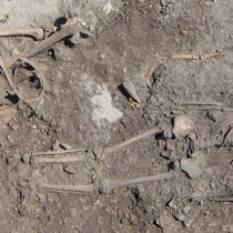 Family relationships identified in Stone Age graves on Gotland