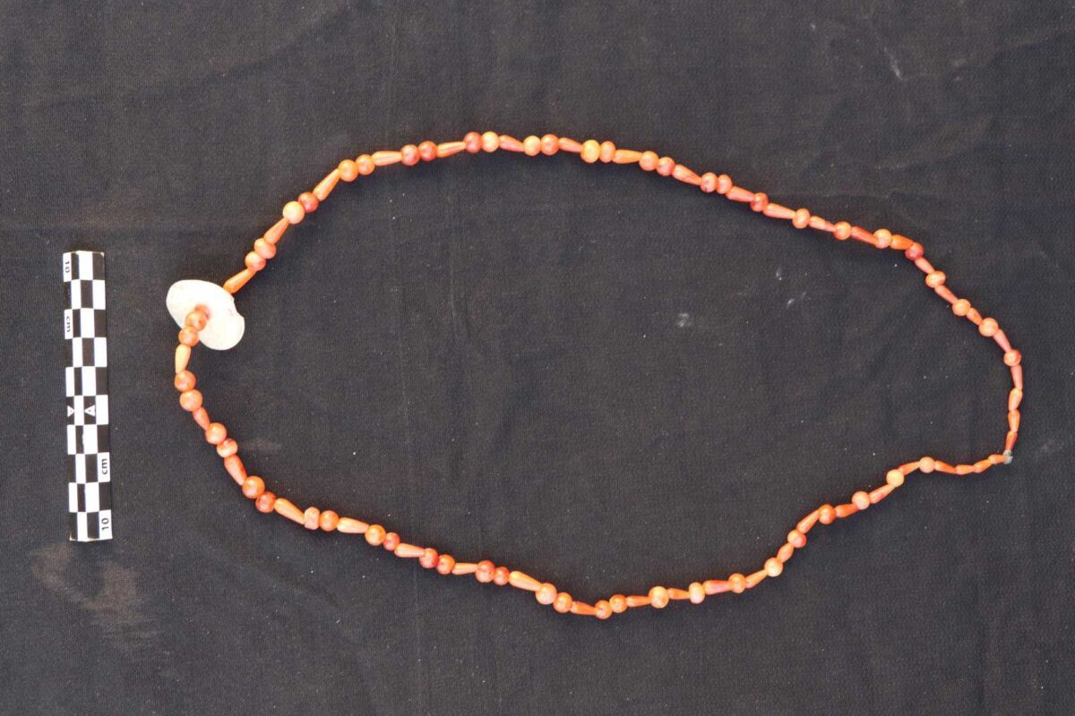 Part of the discoveries at Qubbet el-Hawa (February 2026). Source: MoTA Egypt.