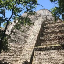 Evidence of dogs being traded within Mayan societies