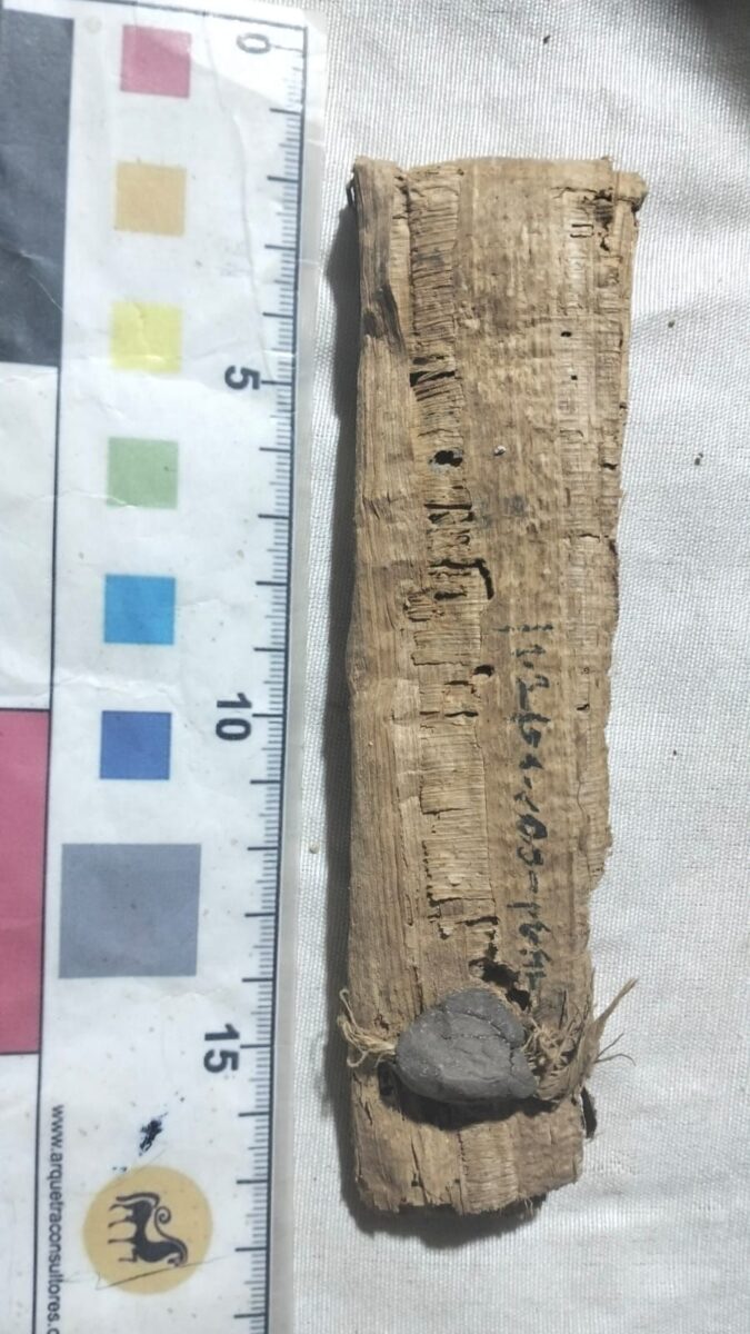 Finds from the Third Intermediate Cache, Qurna, 2026. Source: MoTA Egypt.