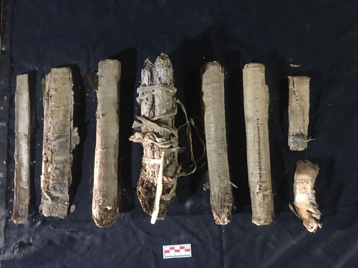 Finds from the Third Intermediate Cache, Qurna, 2026. Source: MoTA Egypt.