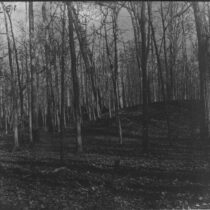 Pre-European Michigan: Maize more prominent than thought