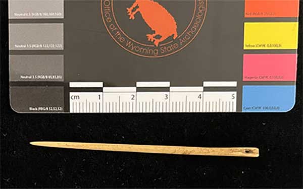 Ancient needles and awls served many purposes